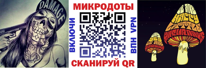 дарк нет Telegram  что такое   Бирюсинск  Псилоцибиновые грибы MAGIC MUSHROOMS 
